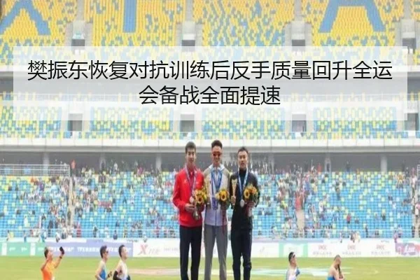 樊振东恢复对抗训练后反手质量回升全运会备战全面提速